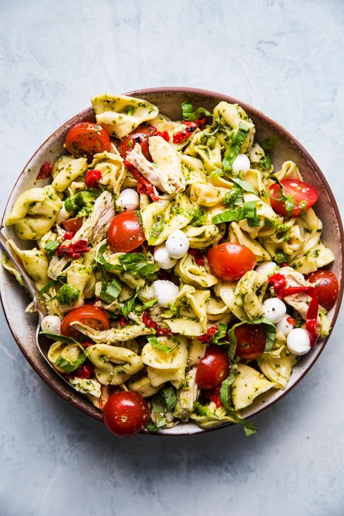 Pasta salad with tortellini, pesto, mozzarella, roasted red bell peppers, cherry tomatoes and shredded chicken