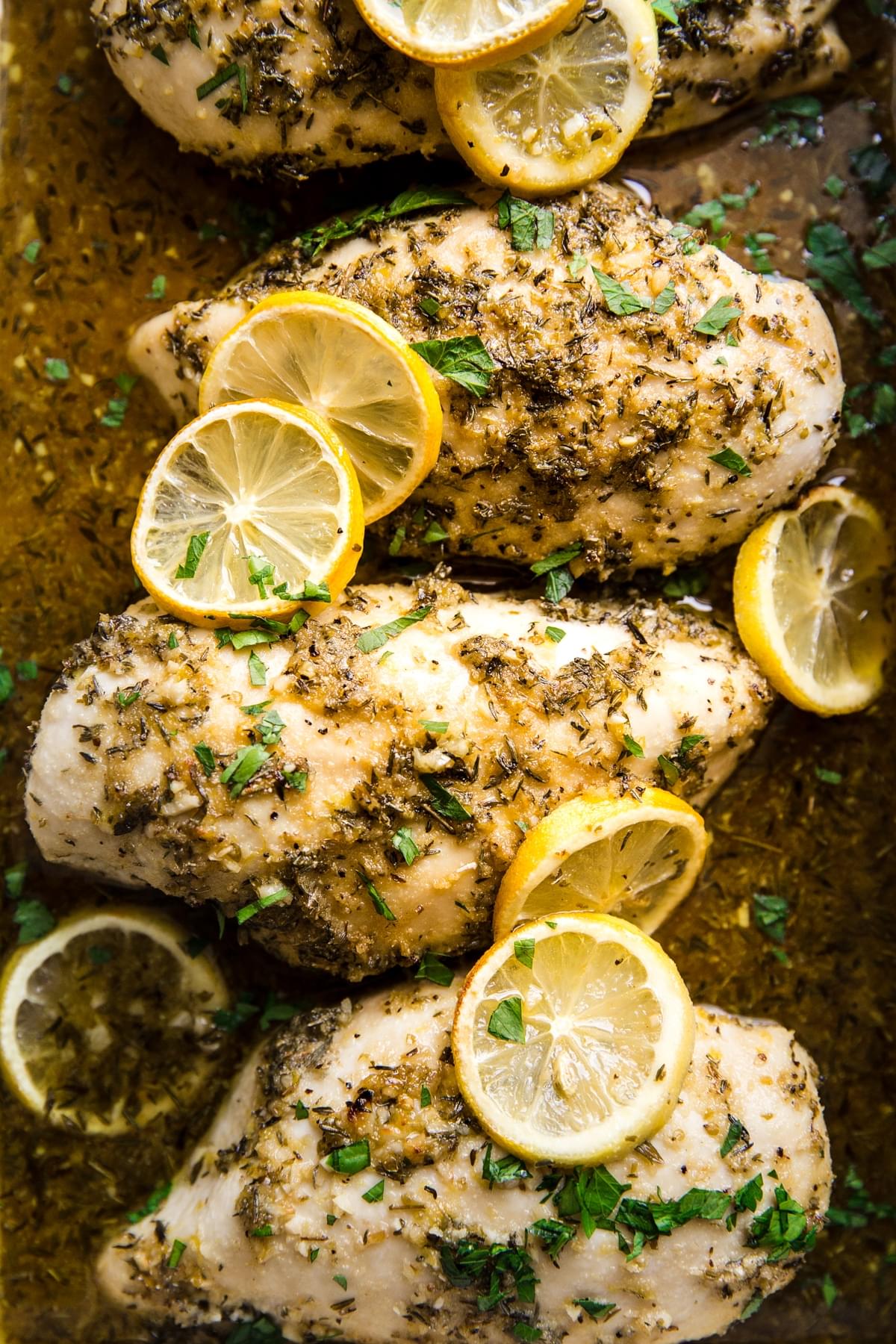 Lemon Chicken breasts baked in a baking dish topped with lemon slices and parsley