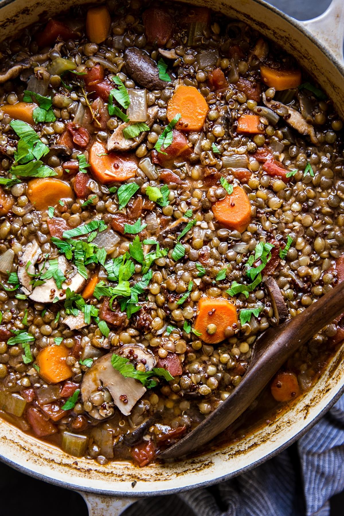 large pot of french lentil stew with quinoa and mushrooms