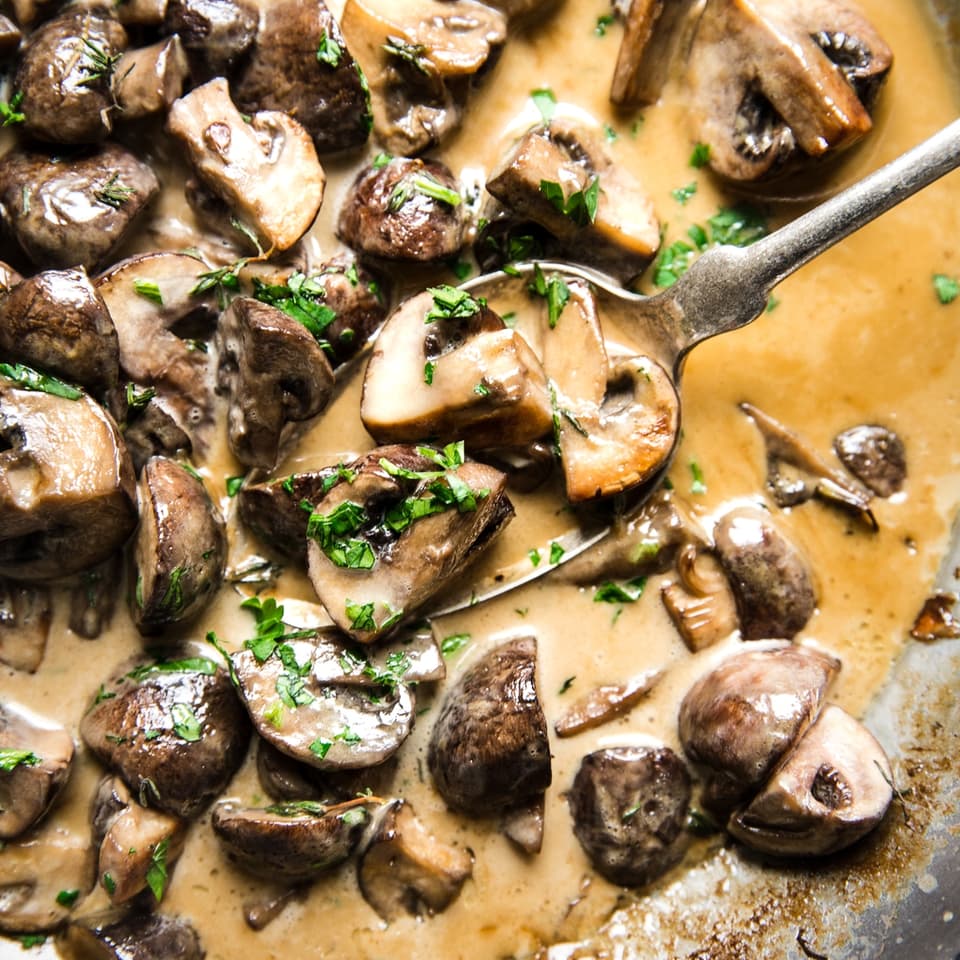 Mushroom Cream sauce for Best mushroom recipes