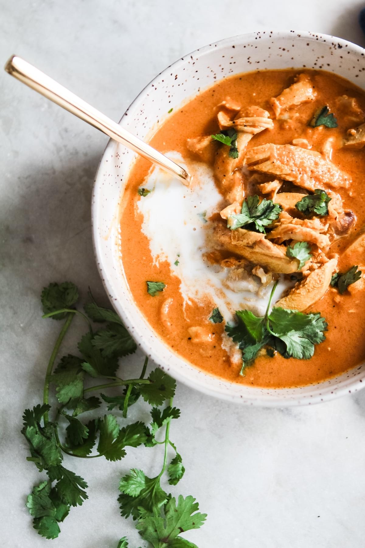 speckled ceramic bowl of tikka masala soup topped with fresh cilantro