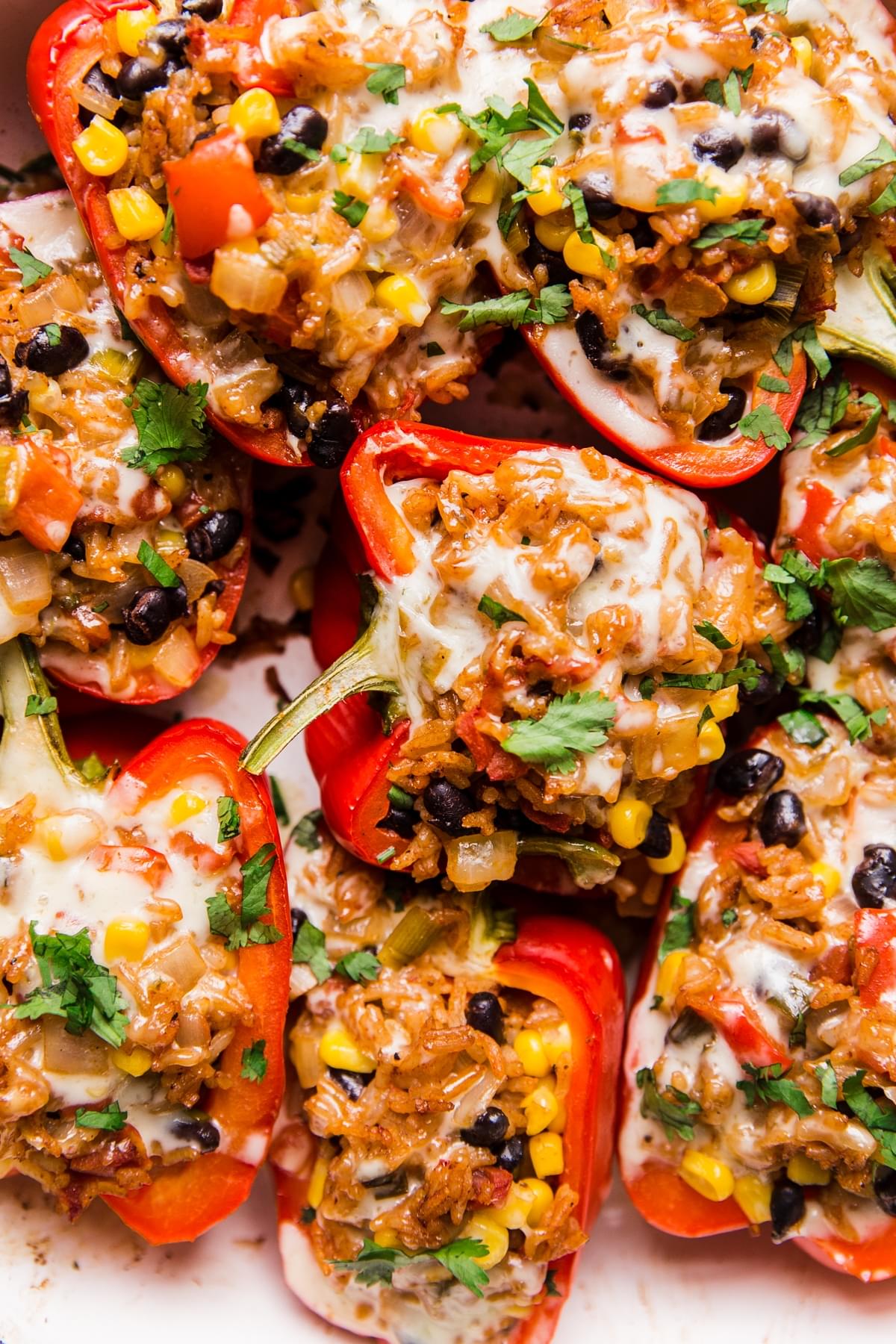 vegetarian stuffed peppers topped with cheese and cilantro