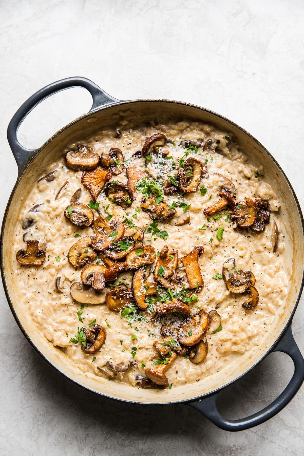 wild mushroom risotto topped with crispy mushrooms and fresh parsley
