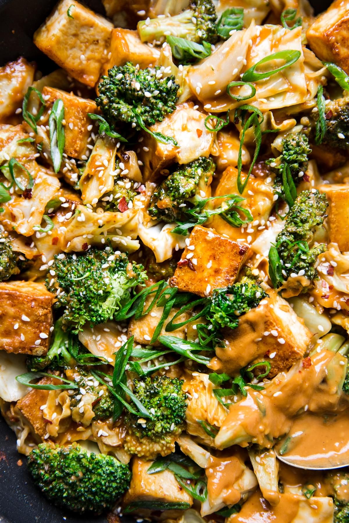 Close up of Tofu Stir Fry With Broccoli, Cabbage and peanut sauce