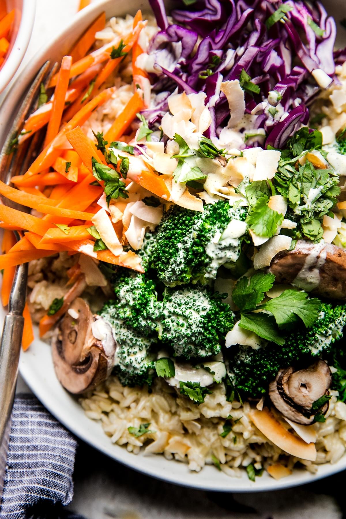 close up of a vegetarian rice bowl with green curry and veggies.