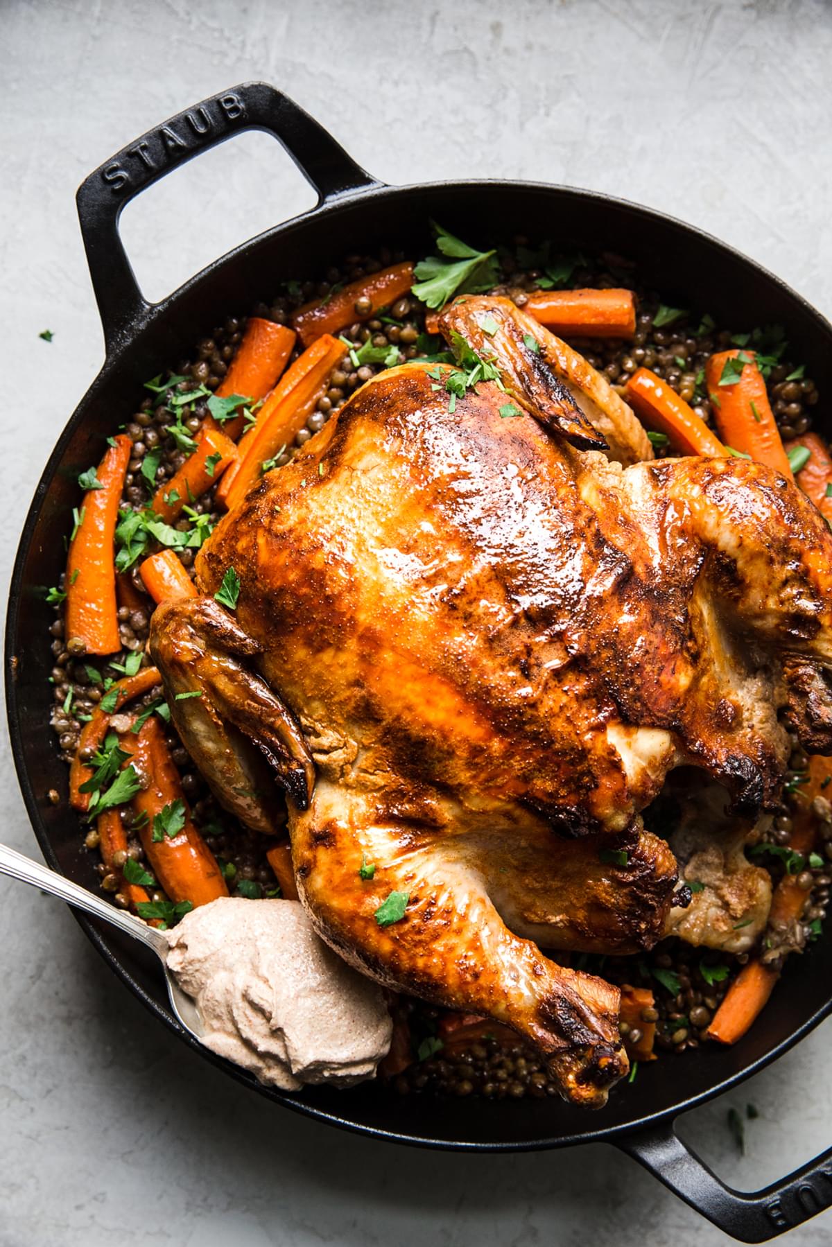 Paprika Roast chicken over lentils with carrots in a large skillet shown with a spoon of yogurt sauce