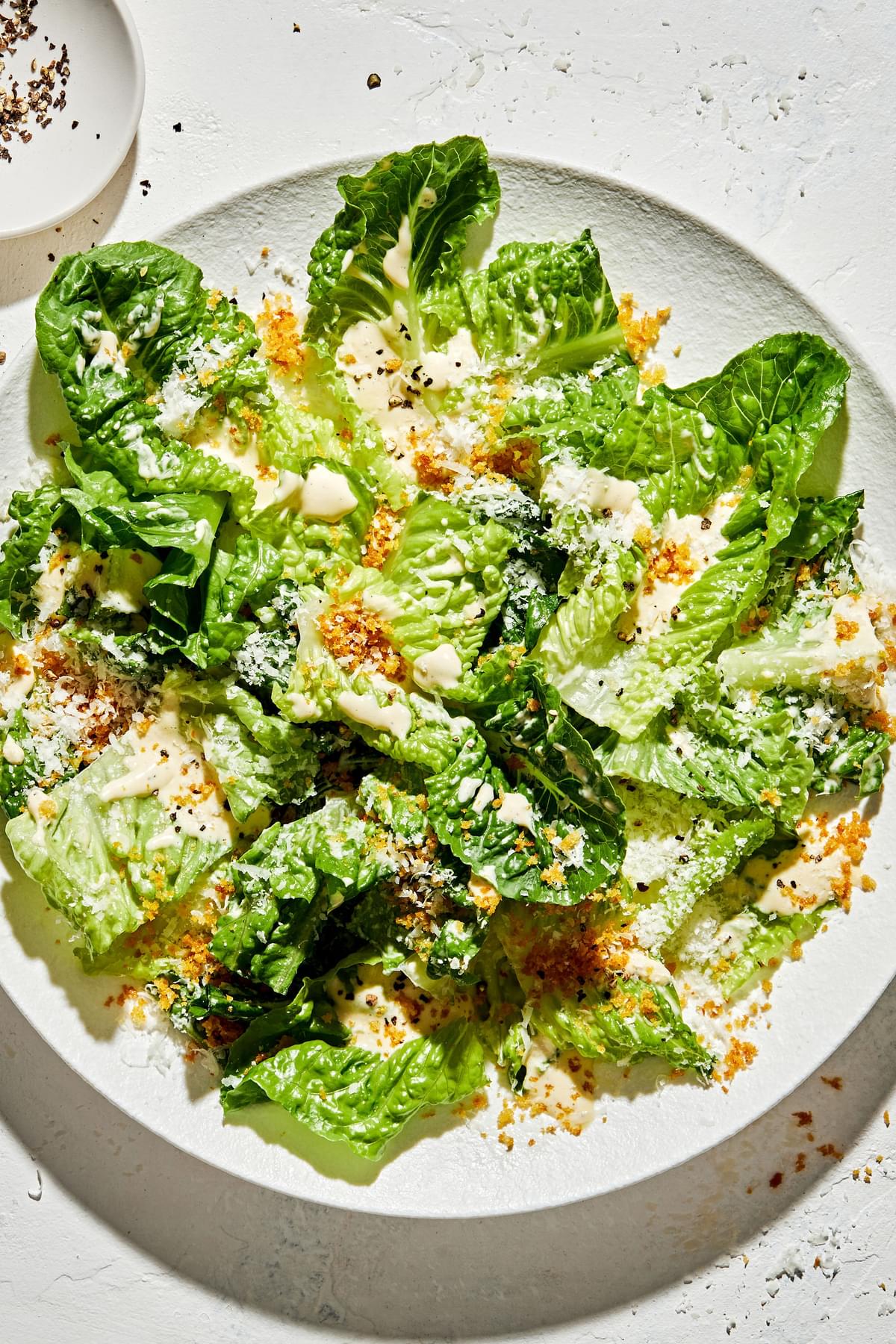 a bowl of caesar salad made with homemade caesar dressing topped with toasted breadcrumbs and Parmesan cheese