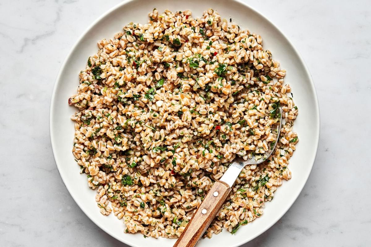 homemade farro made with chicken broth and salt in a serving bowl being scooped with a spoon