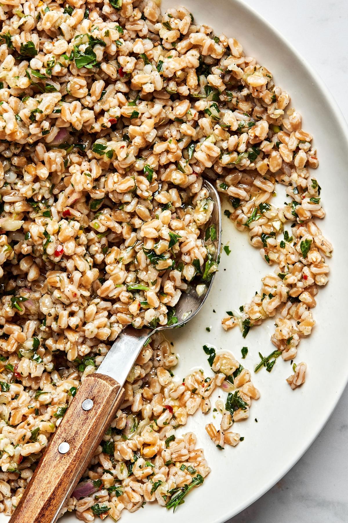 homemade farro made with chicken broth and salt in a serving bowl being scooped with a spoon