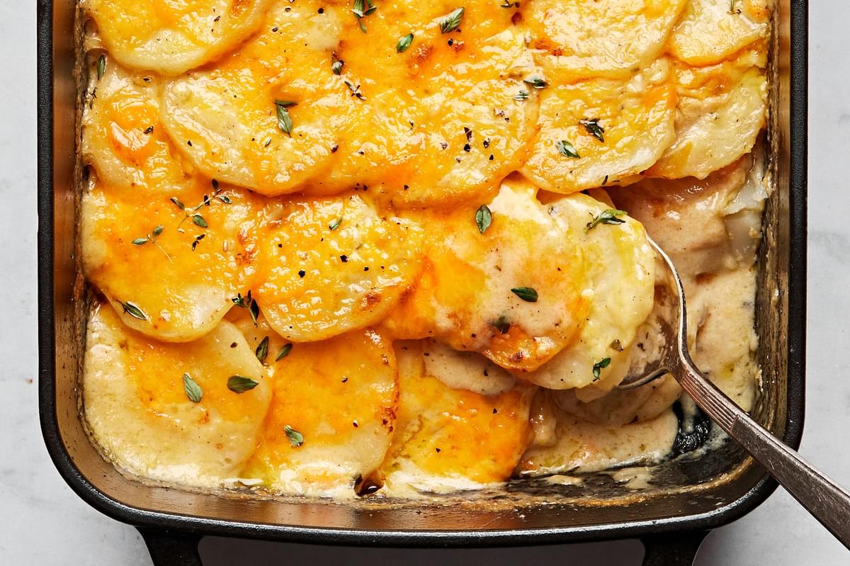 homemade scalloped potatoes seasoned with thyme and nutmeg being scooped out of a casserole dish with a spoon