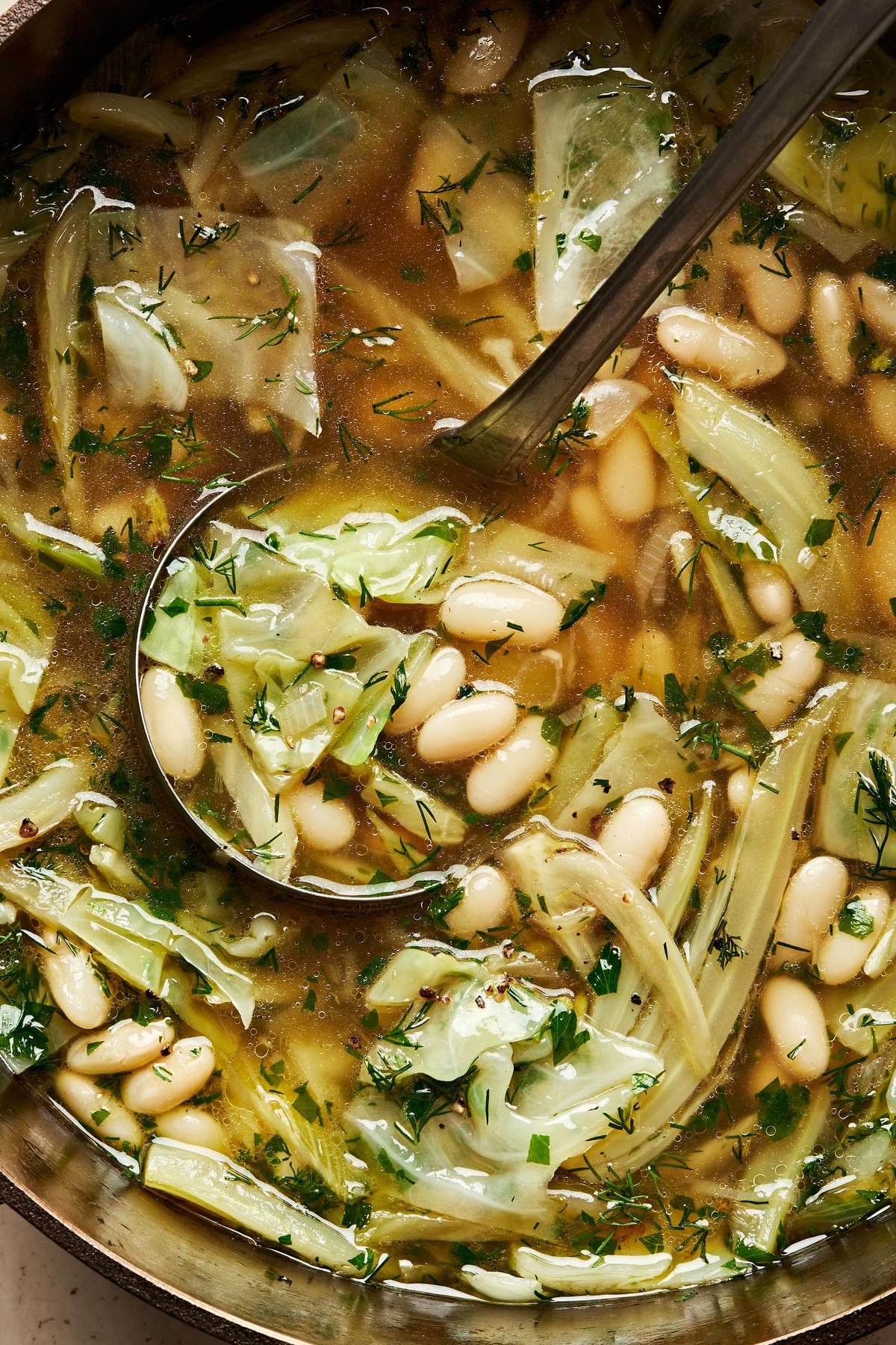 a pot of White Bean Soup with Dill and Cabbage made with fennel, cabbage, white beans, stock and spices
