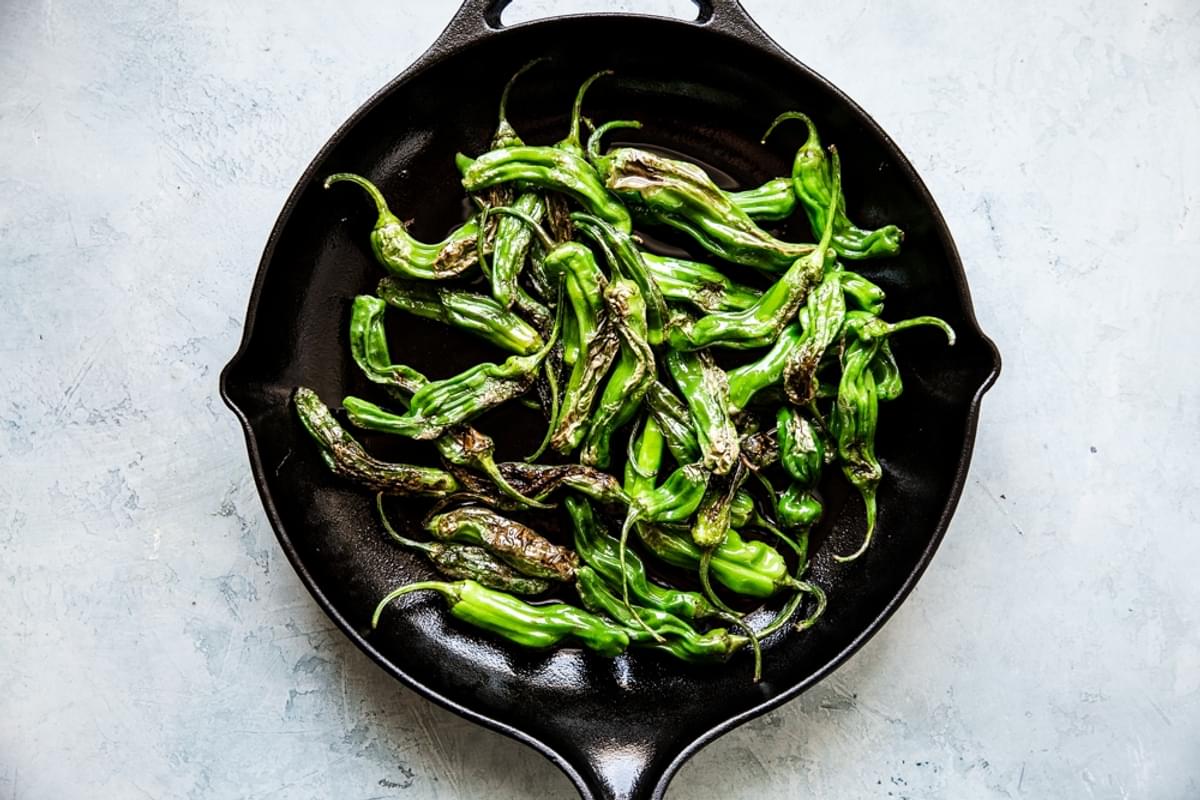 Blistered Shishito Peppers in olive oil in a black skillet
