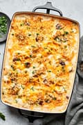 chicken tetrazzini in a baking dish made with noodles, mushrooms, peas, cream sauce, cheddar, Parm and panko in a baking dish