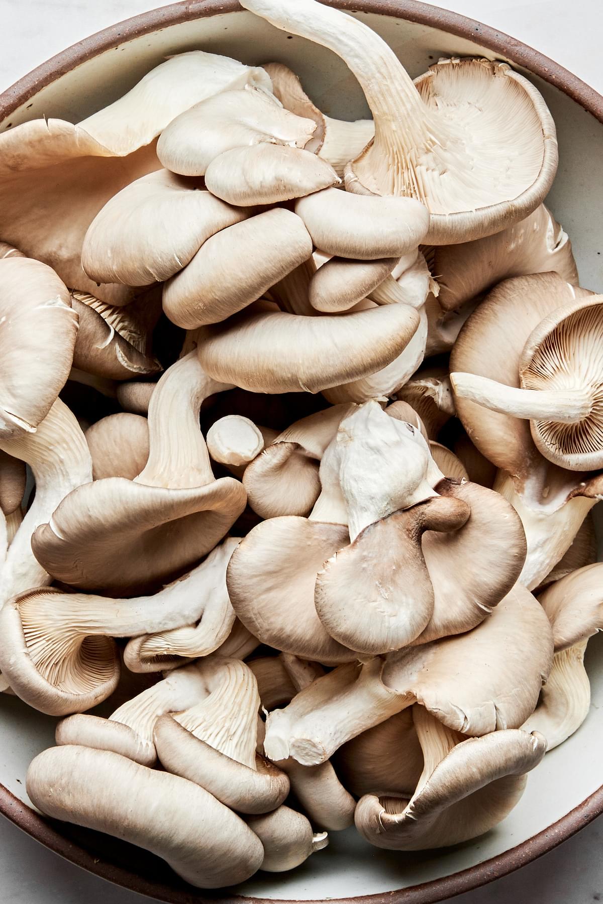 a bowl of raw oyster mushrooms
