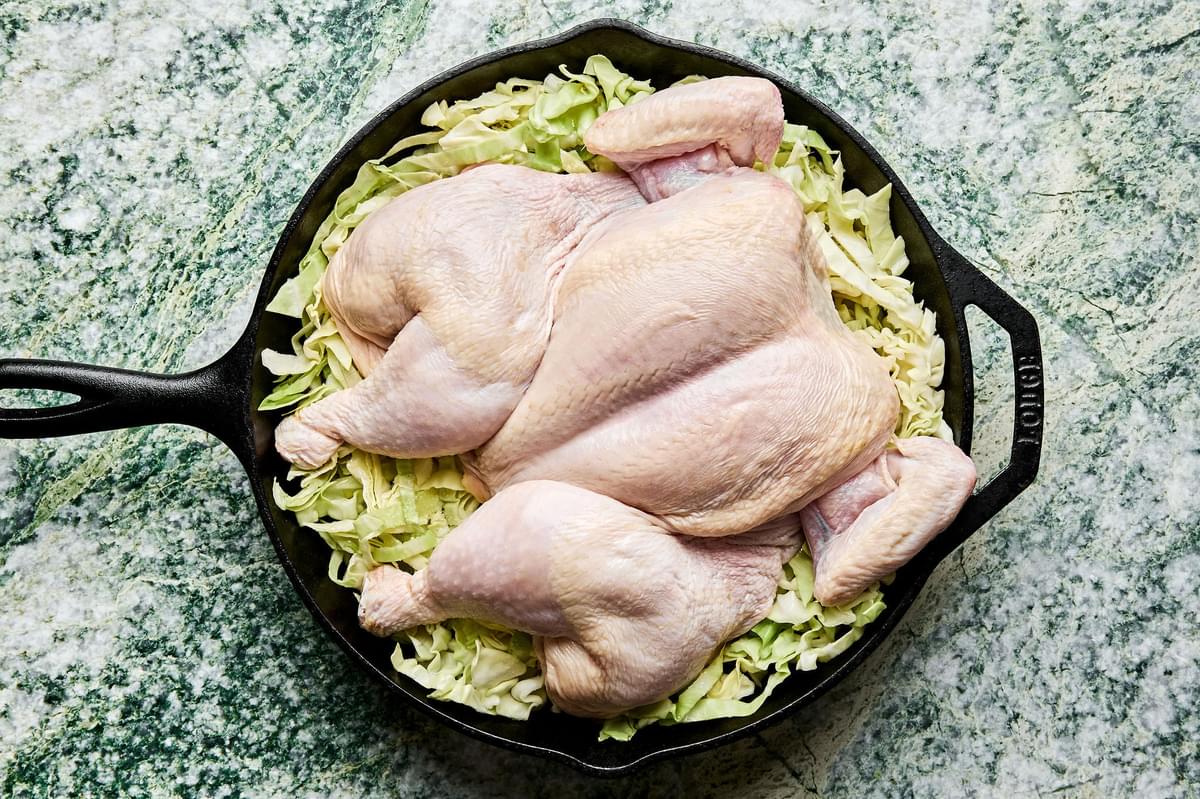 a spatchcocked chicken on top of shredded cabbage seasoned with olive oil and salt in a cast iron skillet