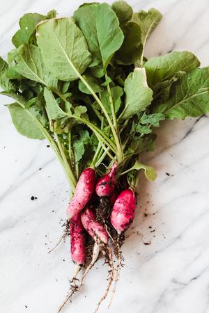radishes