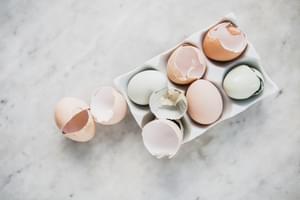 6 eggs in a white container