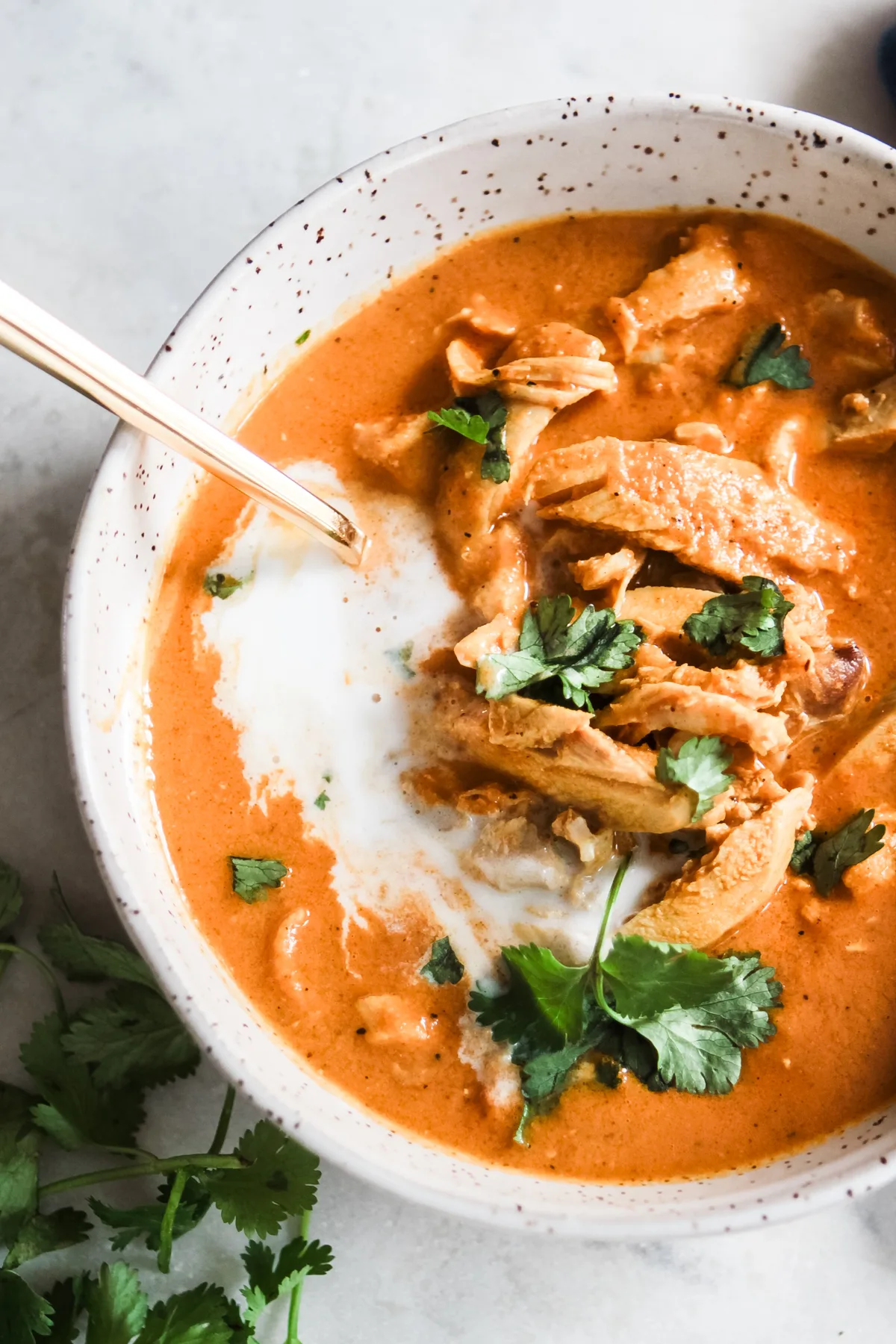 speckled ceramic bowl of homemade tikka masala soup topped topped with fresh cilantro