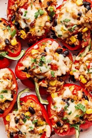 Vegetarian stuffed bell peppers filled with beans and rice, topped with melted pepper jack cheese and garnished with cilantro