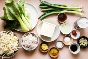 tofu, shallots, yellow curry powder, red curry paste, garlic =, ginger, baby boy chop, green onions, coconut milk