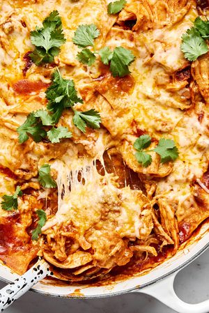 Skillet chicken enchiladas topped with melted cheese and fresh cilantro, a easy weeknight dinner