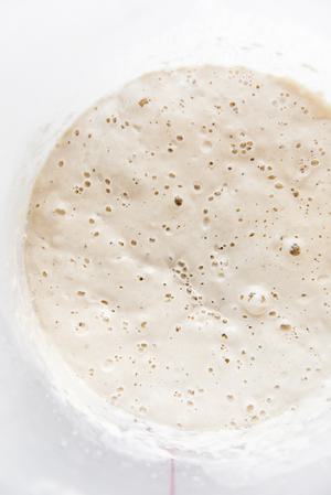 sourdough preferment shown in a plastic bucket