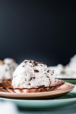a scoop of Vegan Mint Chip Ice Cream in a bowl