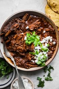 a bowl of homemade shredded beef birria topped with chopped onion and cilantro next to tortillas for serving