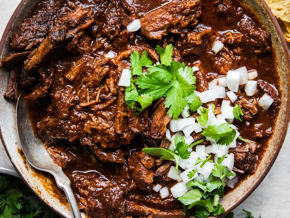 a bowl of homemade shredded beef birria topped with chopped onion and cilantro next to tortillas for serving