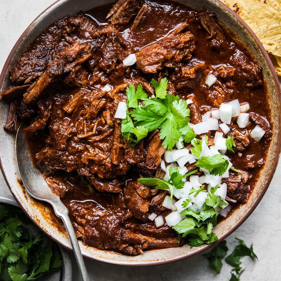 a bowl of homemade shredded beef birria topped with chopped onion and cilantro next to tortillas for serving