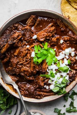a bowl of homemade shredded beef birria topped with chopped onion and cilantro next to tortillas for serving
