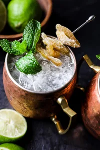 Moscow Mule recipe with ginger beer and mint