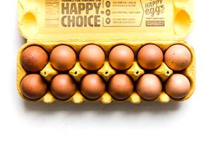 a carton of a dozen eggs
