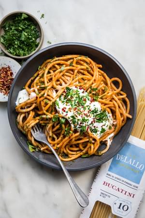 spicy roasted red pepper sauce with whipped feta on top of bucatini pasta next to a bag of delallo dry bucatini & parsley