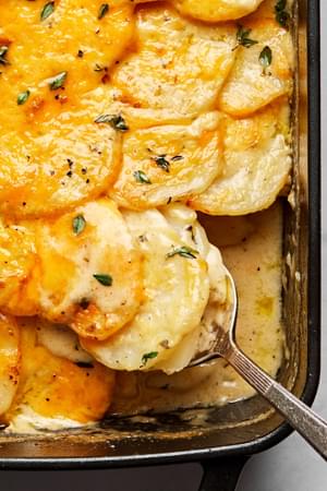 homemade scalloped potatoes seasoned with thyme and nutmeg being scooped out of a casserole dish with a spoon