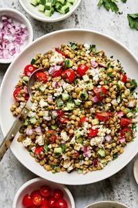 lentil salad made with cucumber, tomato, red onion, garlic, parsley, lemon juice, feta, olive oil, vinegar & spices