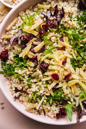 Spring Barley Salad with lemon chive vinaigrette dried cranberries and sunflower seeds